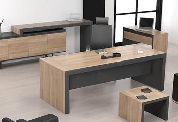 Desi Modern Makam Takımı